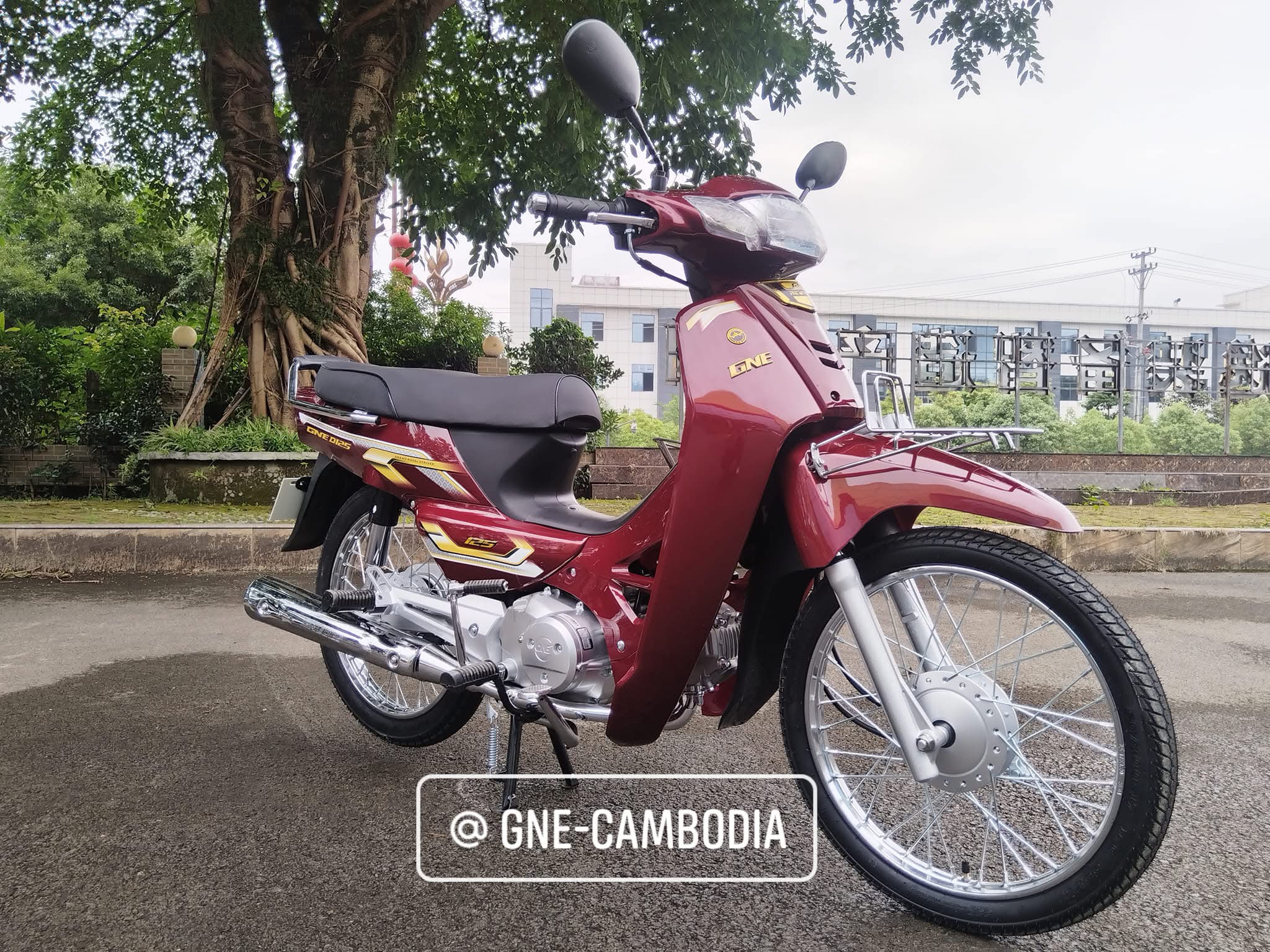 GNE 